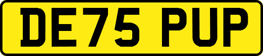 DE75PUP