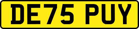 DE75PUY