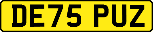 DE75PUZ
