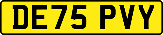 DE75PVY