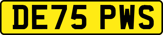 DE75PWS