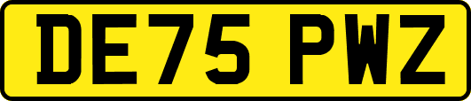 DE75PWZ