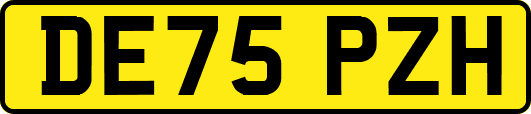 DE75PZH