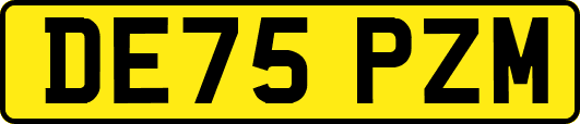 DE75PZM