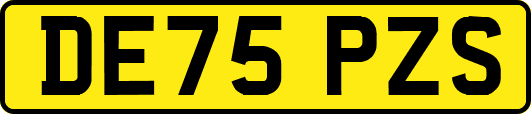DE75PZS