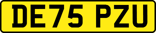 DE75PZU