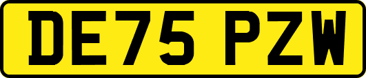 DE75PZW