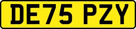 DE75PZY