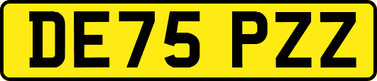DE75PZZ