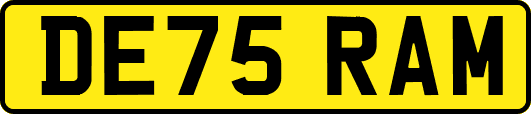 DE75RAM