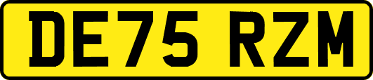 DE75RZM