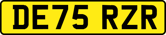 DE75RZR