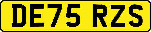 DE75RZS