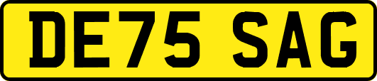 DE75SAG