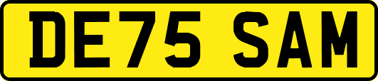 DE75SAM