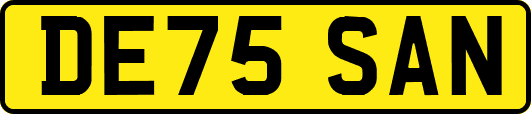 DE75SAN