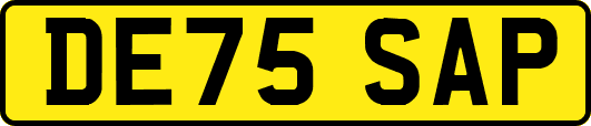DE75SAP