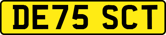 DE75SCT