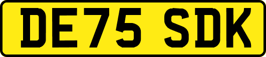 DE75SDK