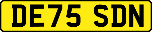 DE75SDN
