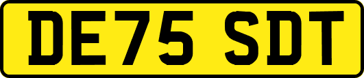 DE75SDT