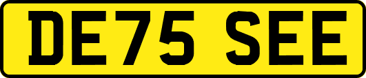 DE75SEE