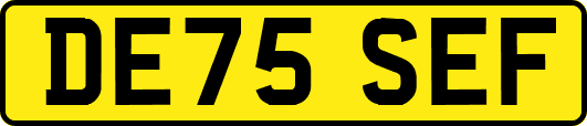 DE75SEF
