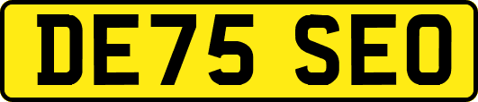 DE75SEO
