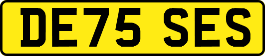 DE75SES