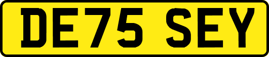 DE75SEY