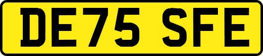DE75SFE