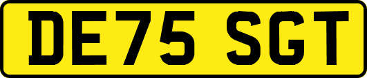 DE75SGT