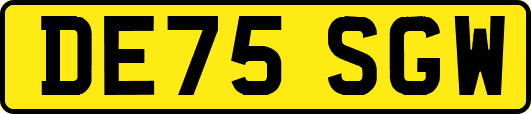 DE75SGW