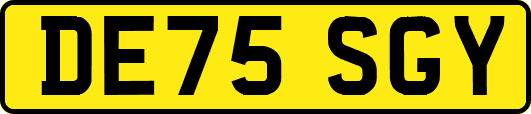 DE75SGY