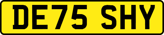 DE75SHY