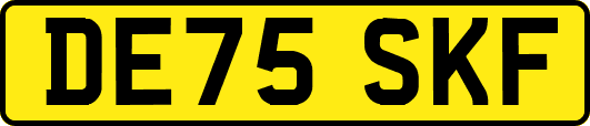DE75SKF