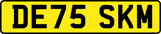 DE75SKM