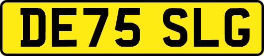 DE75SLG