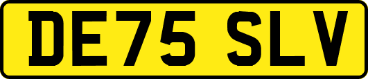 DE75SLV