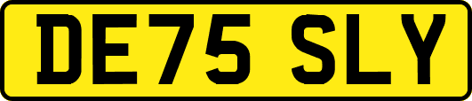 DE75SLY