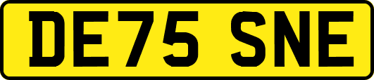 DE75SNE
