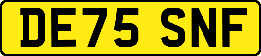 DE75SNF