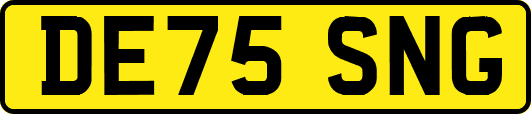 DE75SNG