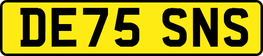 DE75SNS