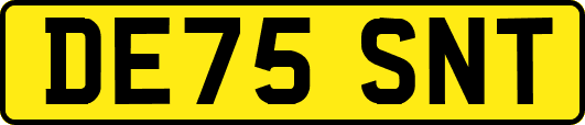 DE75SNT