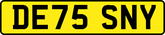 DE75SNY