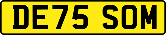 DE75SOM