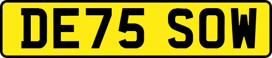 DE75SOW