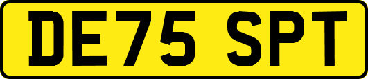 DE75SPT