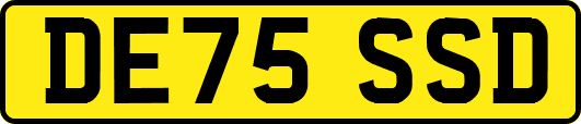 DE75SSD